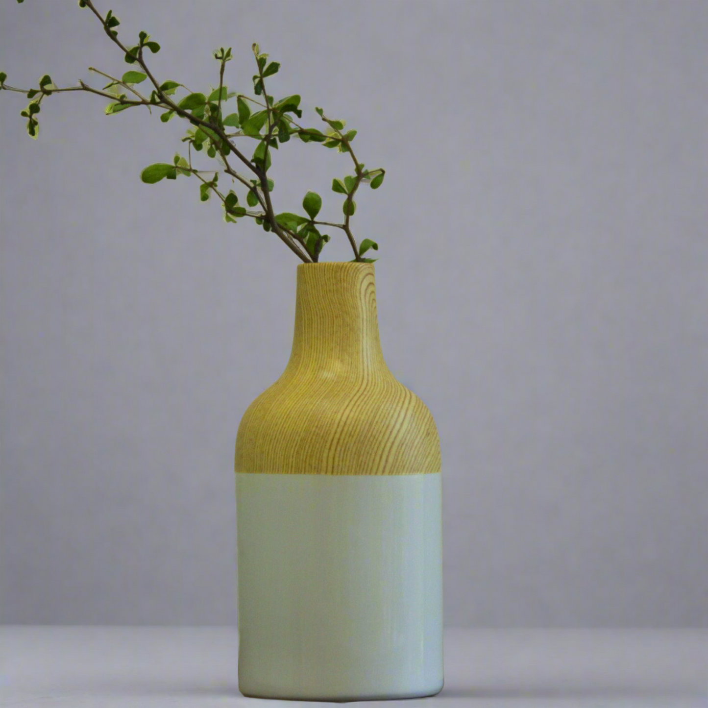 Ceramic Vessel Vase Design